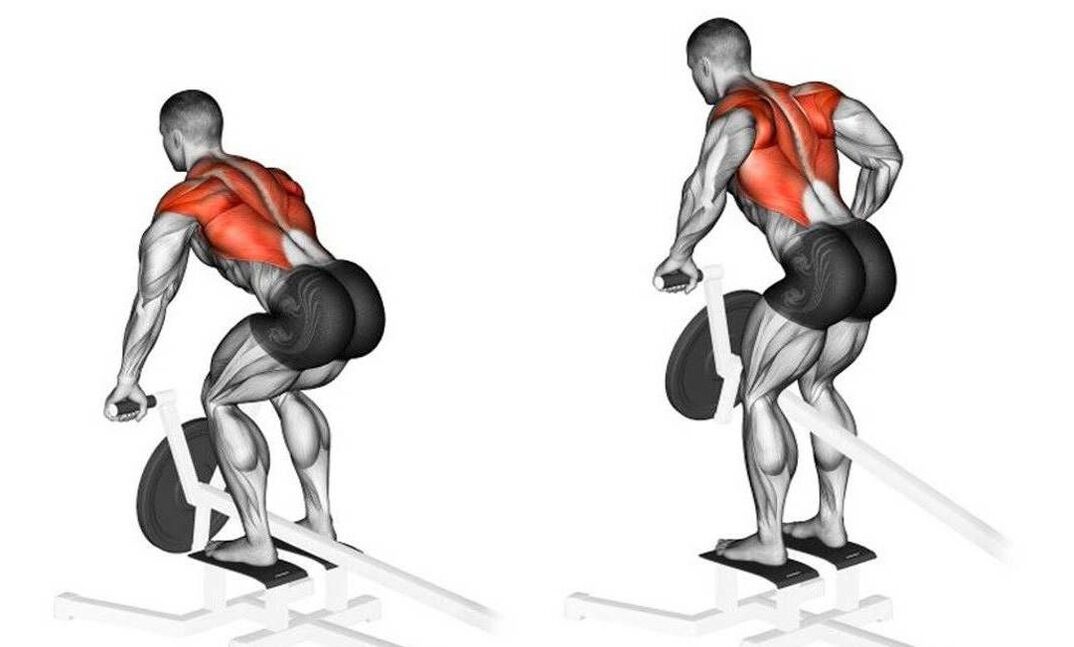 training to strengthen back muscles